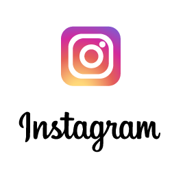 The instagram's logo which is a flat camera icon in a gradiant background and instagram write below