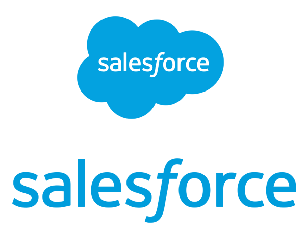 The salesforce's logo which is a blue cloud with salesforce write in it and salesforces write below the cloud